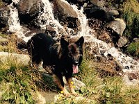Shani